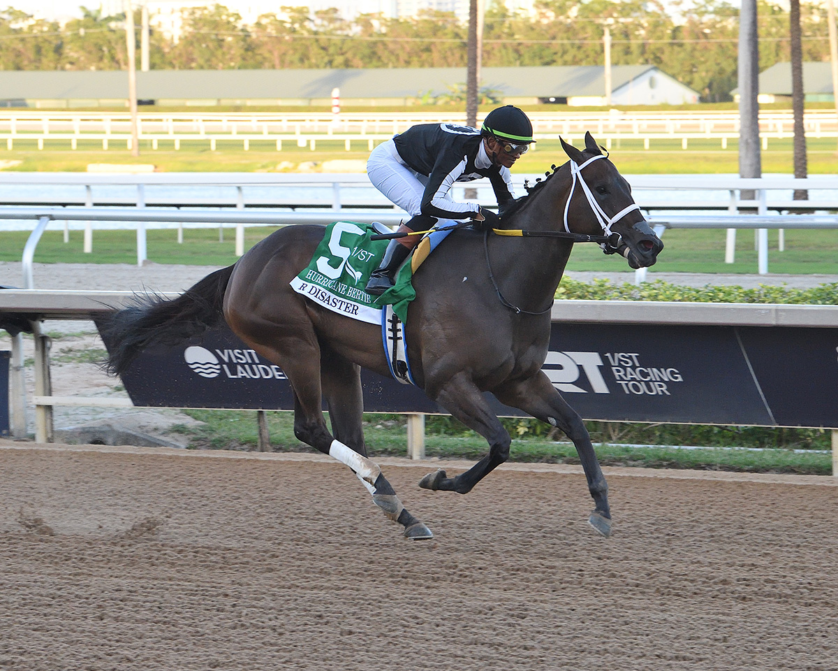 Florida-bred Thoroughbred R Disaster, piloted by jockey Micah Husbands, gallops to the wire at Gulfstream Park unchallenged, winning the 2026 Grade 3 Hurricane Bertie. (Photo: ©Lauren King)