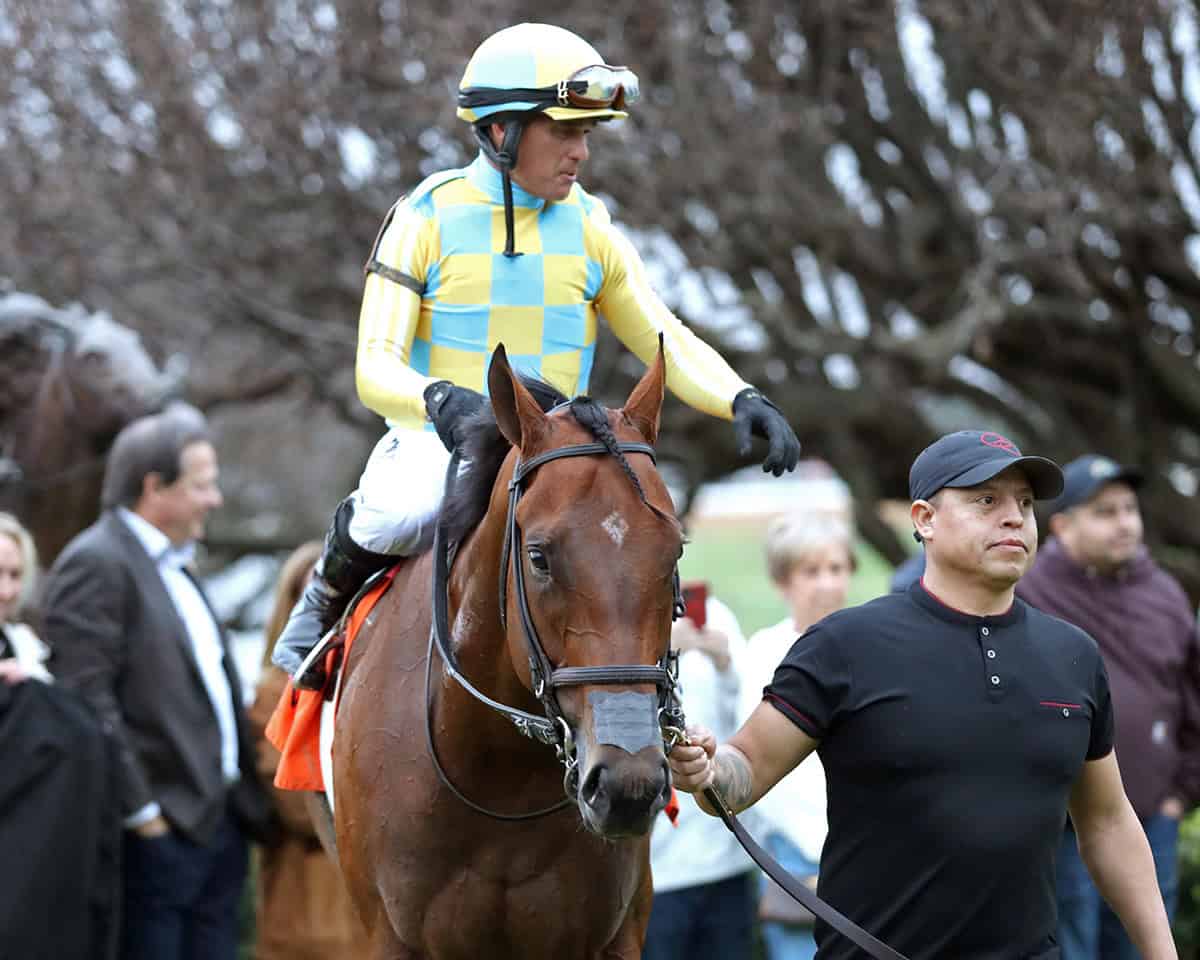 Florida-bred Thoroughbred Strategic Risk is lead through a crowd after winning the 2026 $250,000 Smarty Jones (Listed) at Oaklawn Park with jockey Javier Castellano, who is still in the saddle. (Photo: ©Nicole Dankanich / Coady Media)