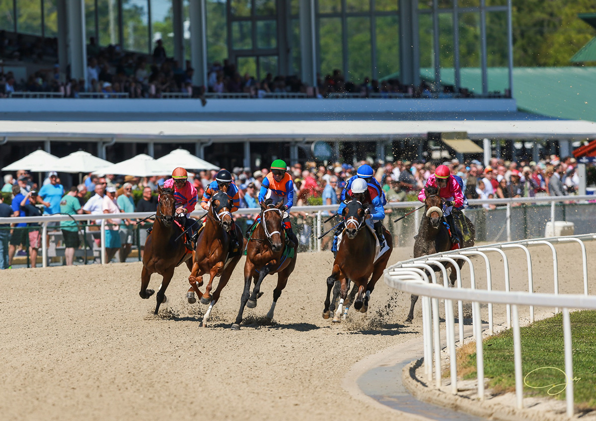 A group of Thoroughbreds gallop powerfully around a turn on a sunny day in front of the grandstand at Tampa Bay Downs, which is crowded with onlookers. (Photo Courtesy Tampa Bay Downs, Inc.’ Facebook page (@TampaBayDownsFL).)