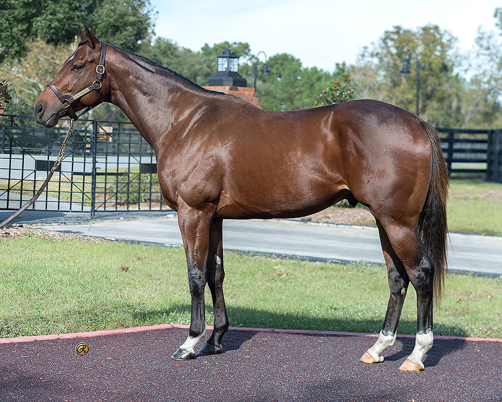 Tunwoo - ©Louise Reinagel