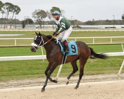 Jockey Pablo Morales stands in the stirrups while riding Florida-bred Thoroughbred Well Defined. Morales grins while Well Defined canters forward post their win in the Grade 3 Sam F. Davis at Tampa Bay Downs (2019. (Photo: ©SV Photography)