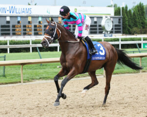 Florida-bred Thoroughbred Mom’s On Strike gallops forward with pricked ears, guided by jockey Adam Beschizza, after winning the 2019 Old Forester Mint Julep Stakes (Gr. 3) at Churchill Downs. (Photo: ©Coady)