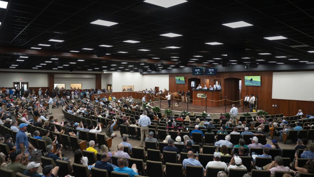 A wide shot of the crowd of onlookers gathered to observe the record breaking sale of Hip 1056, a colt by Flightline. The screen above the colt’s head flashes $0, but that will shortly climb to $10.5 million. (Photo: ©OBS/VidHorse Photo)