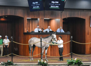 Hip 596, a Florida-bred Thoroughbred colt by Ocala Stud stallion Roadster, stands in the middle of the Ocala Breeders’ Sales Co wood-paneled auction. Above the colt’s head, a large sign features his lineage and final sale price, $625,000. (Photo: ©Judit Seipert)