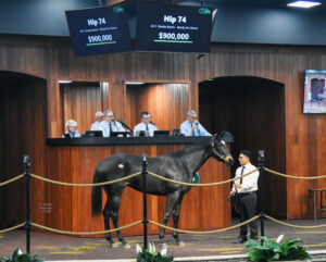 A Thoroughbred filly by Omaha Beach, marked as hip 74, stands in the middle of the Ocala Breeders’ Sales Co wood-paneled auction. The filly faces the crowd with a raised head, her ears pricked forward. Above everyone, a screen reads, “Hip 74, 24 F. Omaha Beach - Ready for Charm, $900,000.” (Photo: ©Judit Seipert)