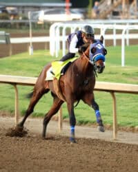 Thoroughbred So Happy exercises at Churchill Downs. Photo by ©Cady Coulardot / Coady Media.