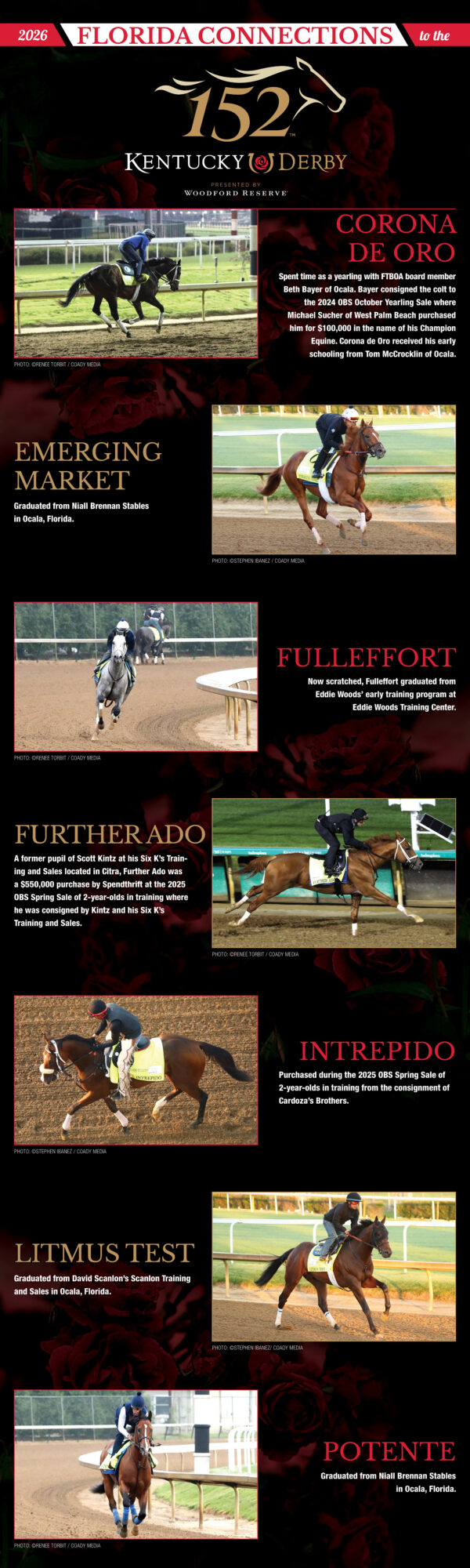 Long chart with a black background and red, white, and gold accents showcasing all the horses that are running in the 2026 Kentucky Derby with ties to Florida. Each horse has a photo, their name in all capitalized letters, and information about their connection. The horse segments rotate between accents of red and gold. Red roses are faded into the background of the graphic. (Part 1 of 2)