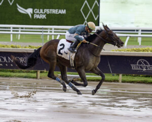 Florida-bred Thoroughbred Diciassette, ridden by jockey Jonathan Ocasio, gallops to the wire to win the 2025 Proud Man at Gulfstream Park. (Photo: ©G Sonny Hughes)