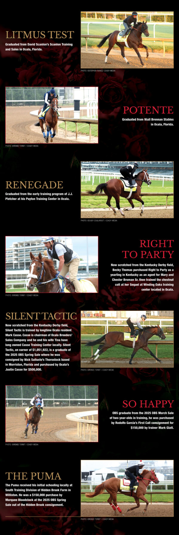 Long chart with a black background and red, white, and gold accents showcasing all the horses that are running in the 2026 Kentucky Derby with ties to Florida. Each horse has a photo, their name in all capitalized letters, and information about their connection. The horse segments rotate between accents of red and gold. Red roses are faded into the background of the graphic. (Part 2 of 2)