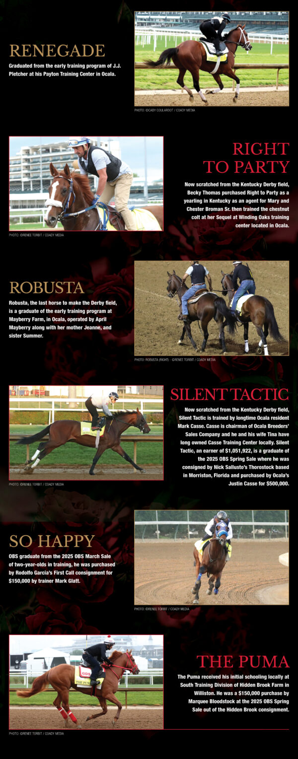 Long chart with a black background and red, white, and gold accents showcasing all the horses that are running in the 2026 Kentucky Derby with ties to Florida. Each horse has a photo, their name in all capitalized letters, and information about their connection. The horse segments rotate between accents of red and gold. Red roses are faded into the background of the graphic. (Part 2 of 2)