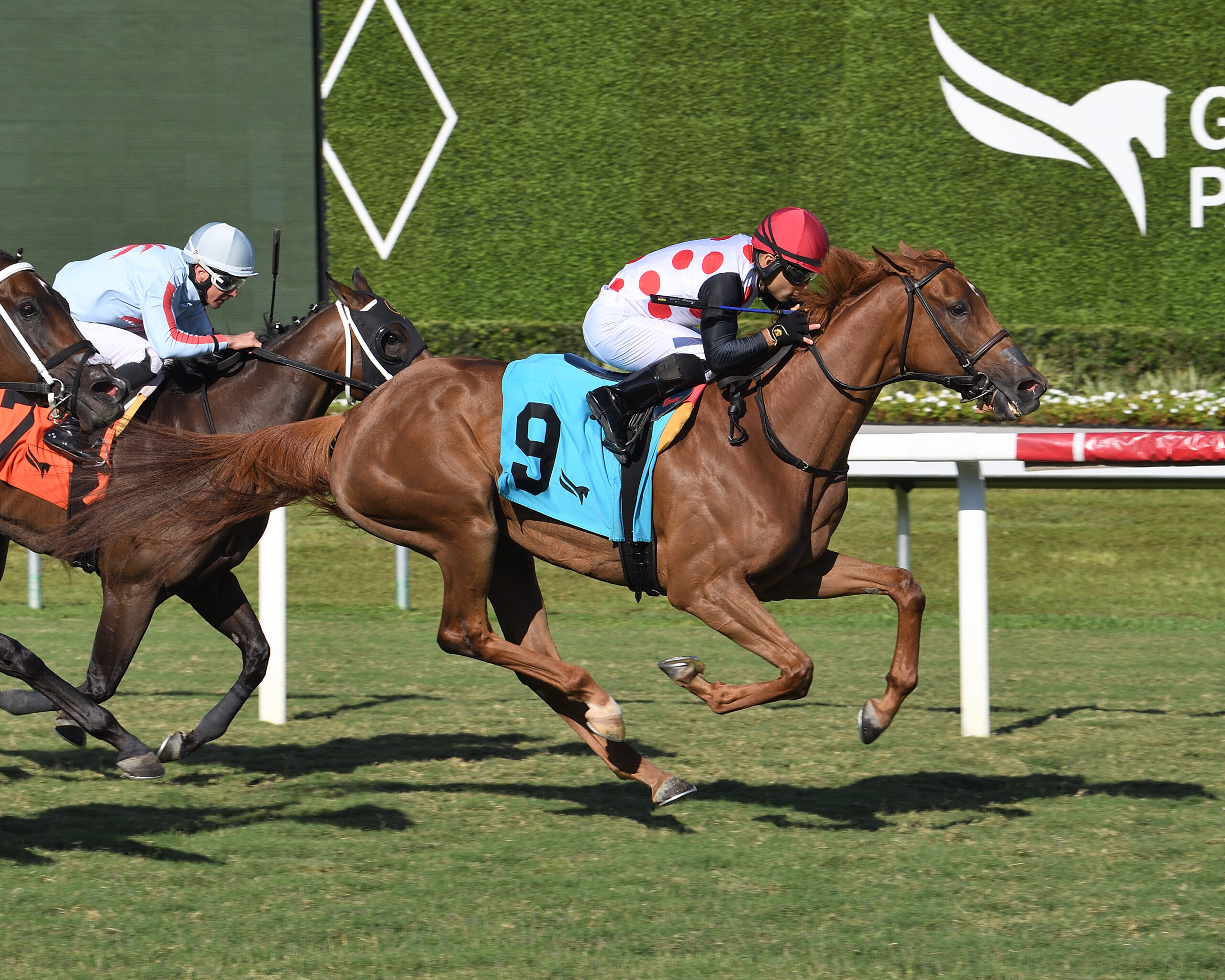 Florida-bred Thoroughbred Souper Zonda and jockey Sonny Leon gallop at the head of the pack, while fellow Florida-breds Miss Mary Nell (inside rail) and Dreaming of Abba (outside) attempt to catch the duo. Souper Zonda and Leon held hte lead to the wire 2026 FHBPA Fillies and Mares Turf Stakes at Gulfstream Park. (Photo by ©Lauren King)