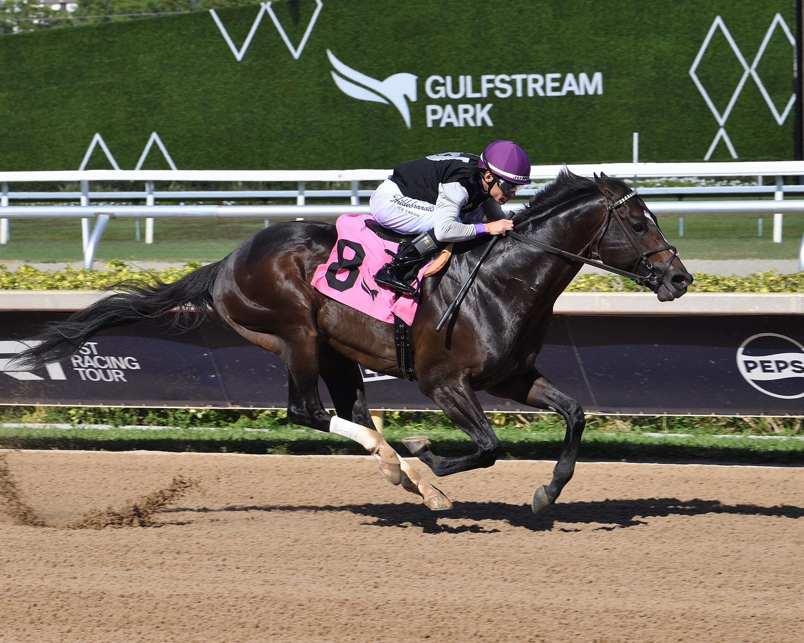 Florida-bred Thoroughbred Damon’s Mound and jockey Junior Alvarado gallop to the wire at Gulfstream Park, outlasting competition to win the 2026 FHBPA Sprint. (Photo by ©Lauren King)