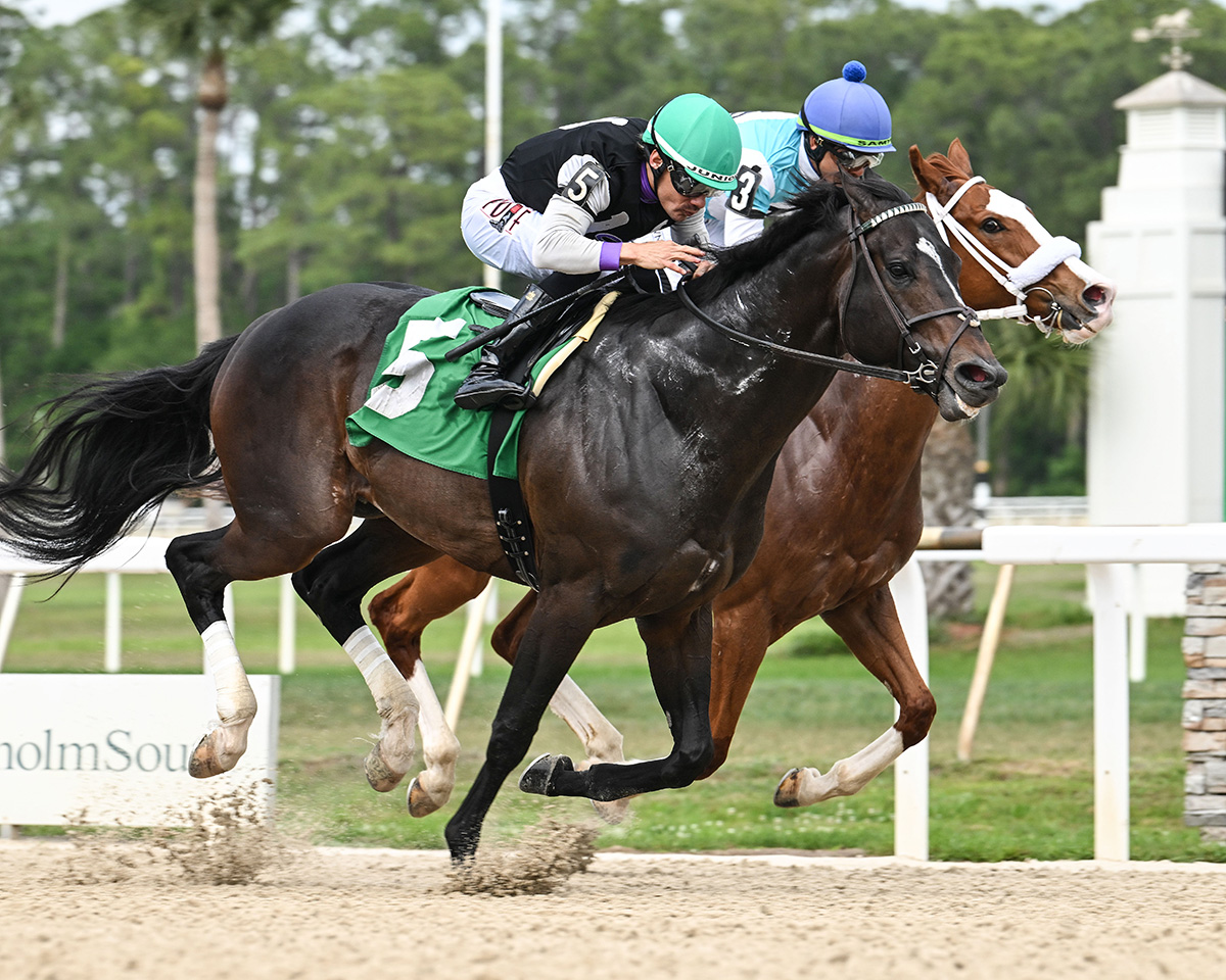 Florida-bred Thoroughbred Damon’s Mound, with regular partner Junior Alvarado in the irons, rockets to the wire at Tampa Bay Downs, passing fellow Florida-bred Chrome Ghost running on the inside rail. The duo crossed the wire first, winning the 2026 NYRA Bets Sprint on Florida Cup Day. (Photo: ©SV Photography)