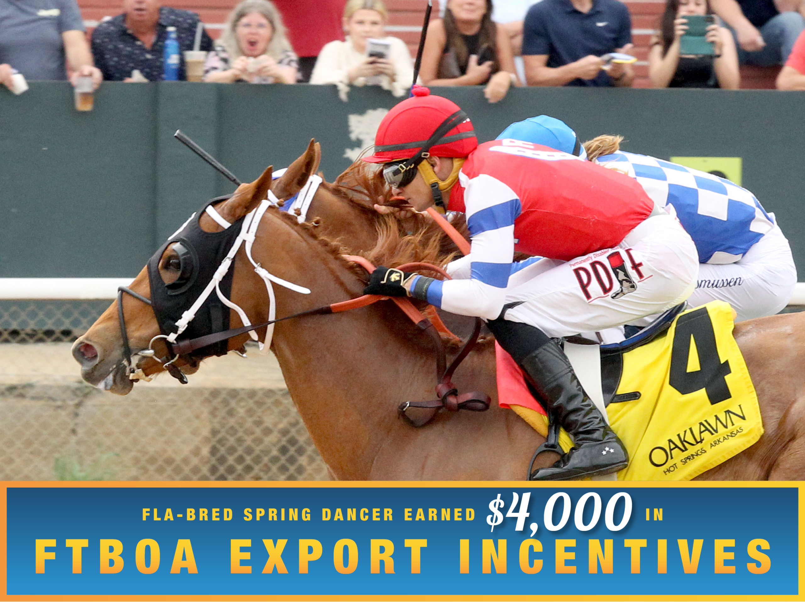 Florida-bred Thoroughbred Spring Dancer and jockey Francisco Arrieta gallop neck-and-neck with competitor Anakarina who applies pressure from the outside. Spring Dancer and Arrieta held the lead by a neck to win the 2026 Majestic Overnight Stakes at Oaklawn Park. (Photo: ©Jean Lozada/Coady Media)
