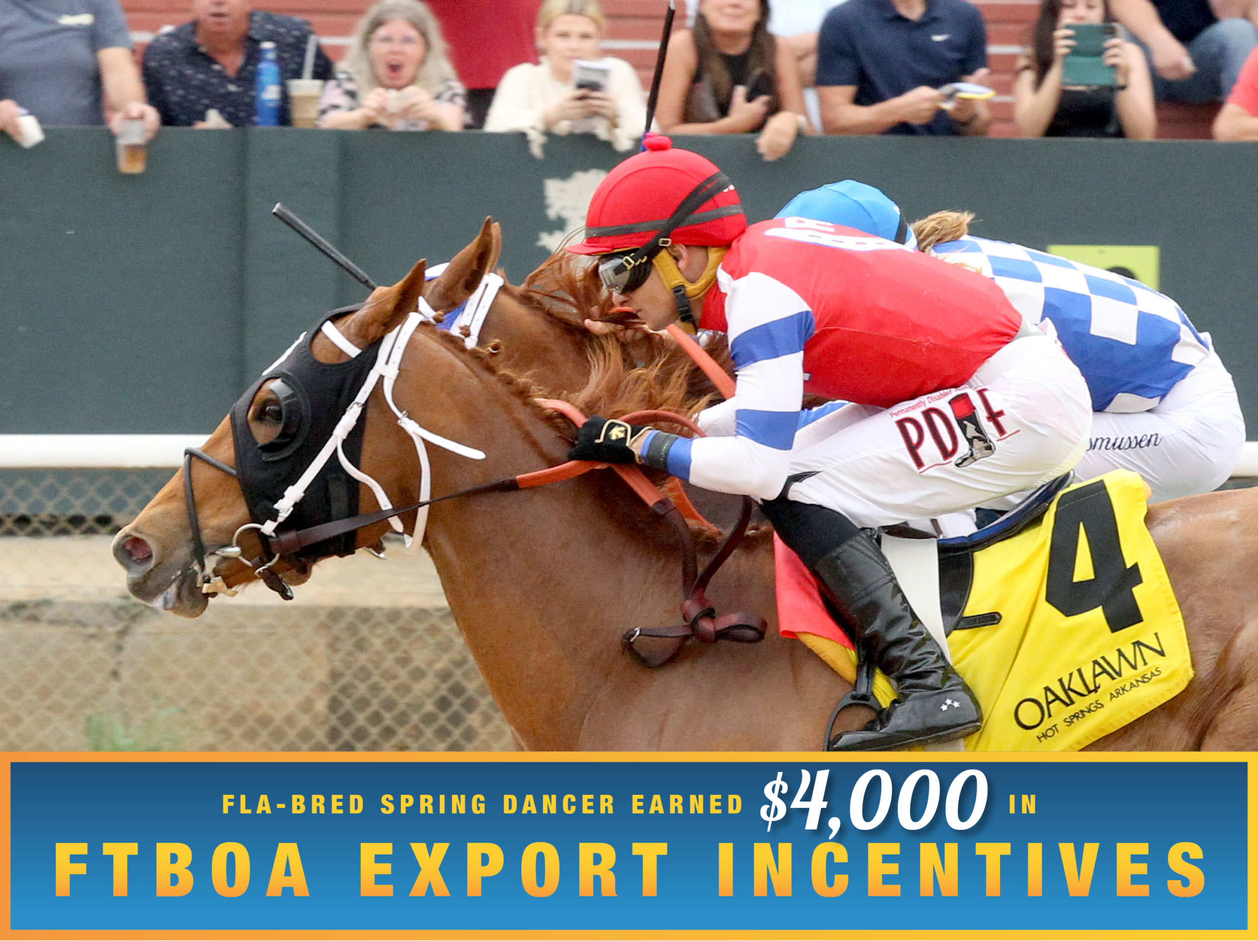 Florida-bred Thoroughbred Spring Dancer and jockey Francisco Arrieta gallop neck-and-neck with competitor Anakarina who applies pressure from the outside. Spring Dancer and Arrieta held the lead by a neck to win the 2026 Majestic Overnight Stakes at Oaklawn Park. (Photo: ©Jean Lozada/Coady Media)