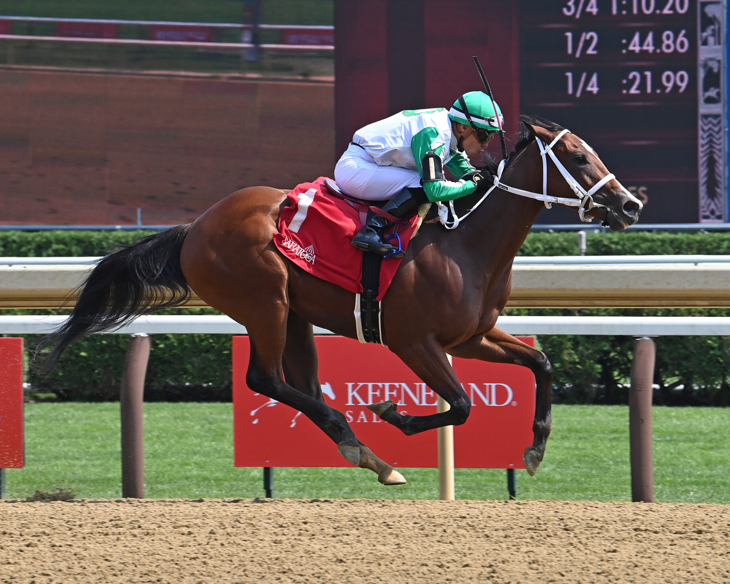 Florida-bred Mythical and jockey Emisael Jaramillo rocket to the wire at Saratoga Race Course, winning the 2025 Grade 3 Adirondack. (Photo: ©Susie Raisher)