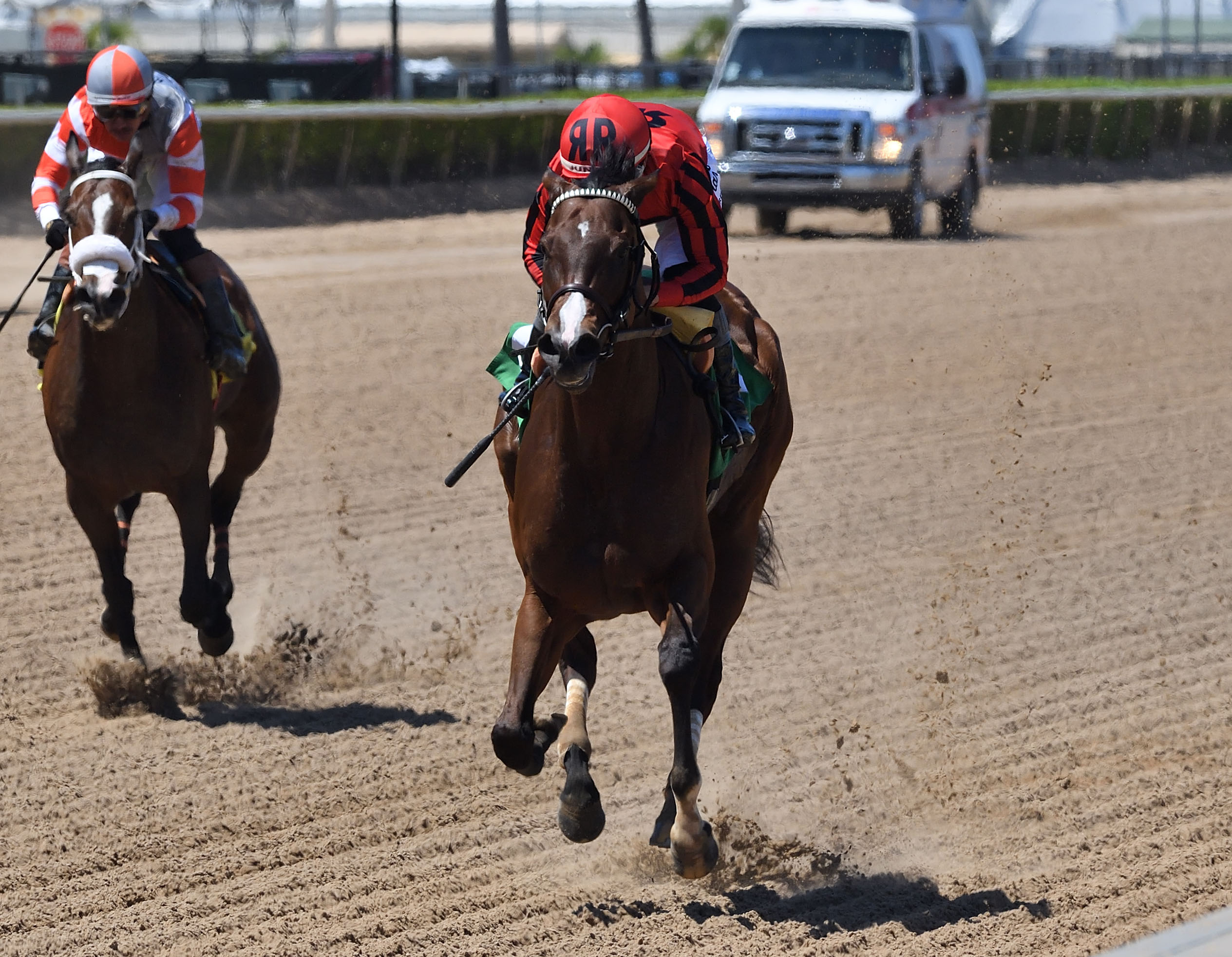 Florida-bred Nic’s Style and jockey Junior Alvarado gallop towards the camera, leaving behind fellow Florida-bred Just a Philly, to wire the 2026 FHBPA Fillies and Mares Sprint at Gulfstream Park. (Photo by ©Ryan Thompson)