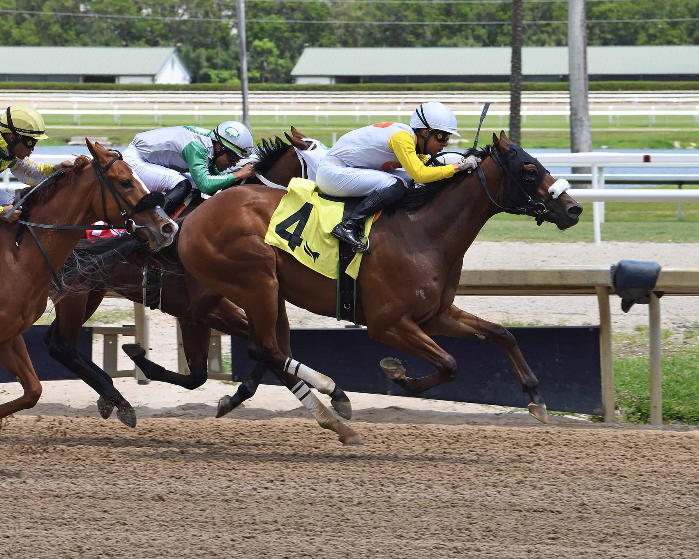 Florida-bred Ford Roadster, ridden by jockey Yolber Torres, flashes across the wire at Gulfstream Park, holding the lead to win ahead of fellow Florida-bred Strike on the inside rail (who is by the same sire as Ford Roadster, Roadster), and Florida-bred Liberty Rings on the outside. Ford Roadster and Torres won a four-and-half-furlong maiden special weight on April 19, 2026, the first win for Florida Sire Roadster. (Photo: ©Ryan Thompson)