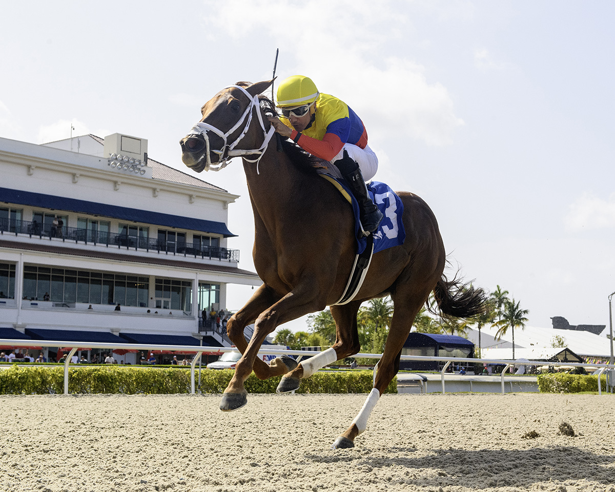 Florida-bred Thoroughbred Great Venezuela and regular rider jockey Leonel Reyes gallop strong to the wire at Gulfstream Park, winning the 2025 Portofino Bay. (Photo: ©Ryan Thompson)