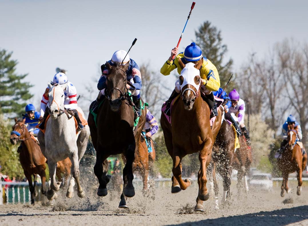 Florida-bred Thoroughbred Hooh Why, a chestnut wearing a white hood, gallops toward the camera with jockey Corey Lanerie in the irons, leading the pack during the 2009 Ashland Stakes (G1) at Keeneland. The pair held the lead to win. (Photo: ©EquiSport)