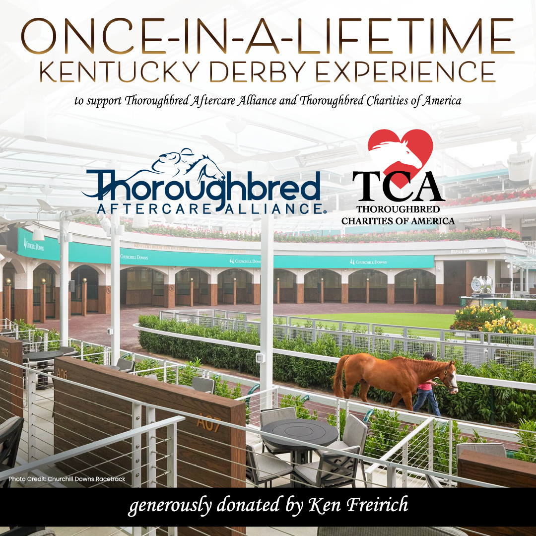 Square graphic for the Once-In-A-Lifetime Kentucky Derby Experience, donated by Ken Freirich. Text further detailing this flanks the top and bottom of the graphic, which is centered around a photo of a horse being led around the Churchill Downs paddock. The logos for the Thoroughbred Aftercare Alliance and Thoroughbred Charities of America are centered towards the top of the photo, which fades to white under the title text. Photo credit for the paddock goes to Churchill Downs Racetrack.
