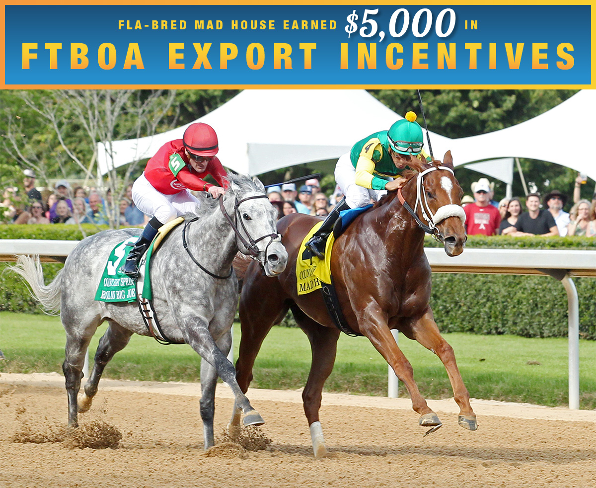 Florida-bred Thoroughbred Mad House (#4 chestnut horse on the inside rail), ridden by jockey Paco Lopez, and fellow Florida-bred Roll On Big Joe, (#5 grey or roan on the outside) ridden by jockey Julien Leparoux, battle it out in a race to the wire. Mad House and Lopez held the lead from gate-to-wire, fending off Roll On Big Joe to win the 2026 Count Fleet Sprint Handicap at Oaklawn Park. A gradient light blue to dark blue banner, edged in an orange to yellow frame, is featured at the top of the graphic. The banner reads, “Fla-bred Mad House Earned $5,000 in FTBOA Export Incentives.” (Photo: ©Natalie Moses/Coady Media)