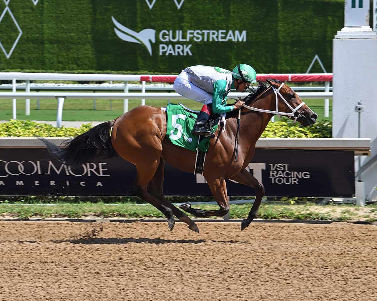 Florida-bred Thoroughbred Mythical rockets to the wire with jockey Edgard Zayas in the saddle, galloping ahead of competition to win the 2026 Any Limit Stakes at Gulfstream Park. (Photo: ©Lauren King)