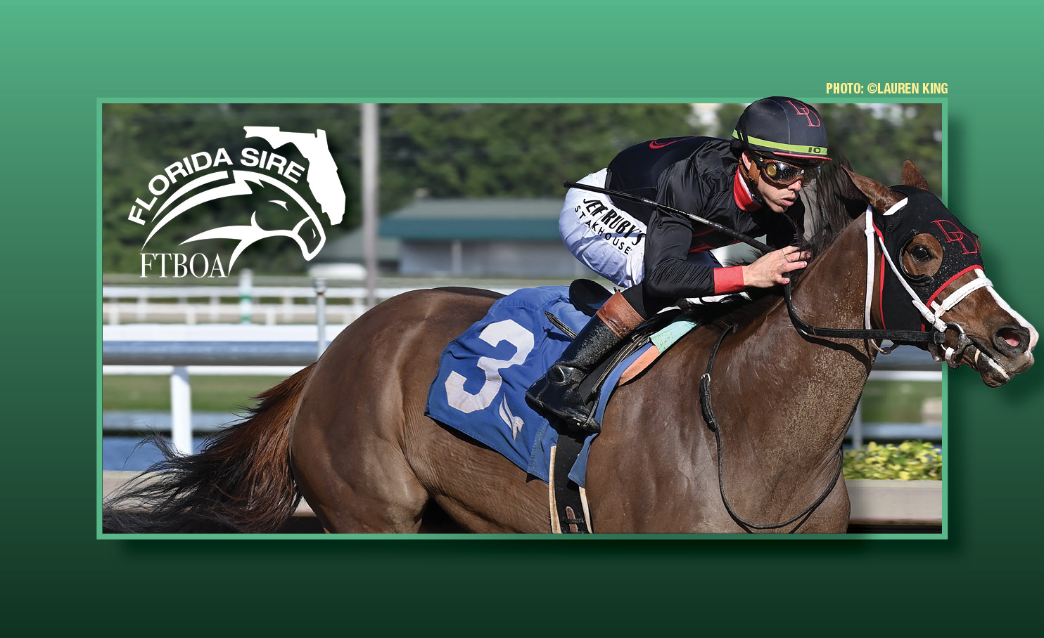 Graphic consisting of a light to dark green gradient background, with a light green rectangle frame with shadowing centered in the middle of it. The frame features a closely cropped headshot of Florida-bred Thoroughbred Ms. Bucchero and jockey Irad Ortiz Jr. scoring the 2025 Sugar Swirl Stakes at Gulfstream Park. (Photo: ©Lauren King) Ms. Bucchero’s head overlaps the right side of the frame, as does Ortiz’s helmet at the top of the frame. The overlaps are further emphasized by shadowing. In the top left of the frame, the logo for FTBOA’s Florida Sire Program.