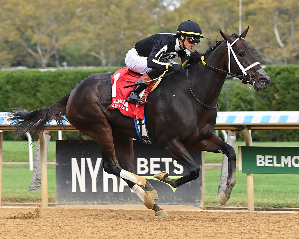 Florida-bred R Disaster and jockey Jose Ortiz power to the wire to win the 2025 Gallant Bloom at Aqueduct Racetrack. (Photo: ©Adam Coglianese)