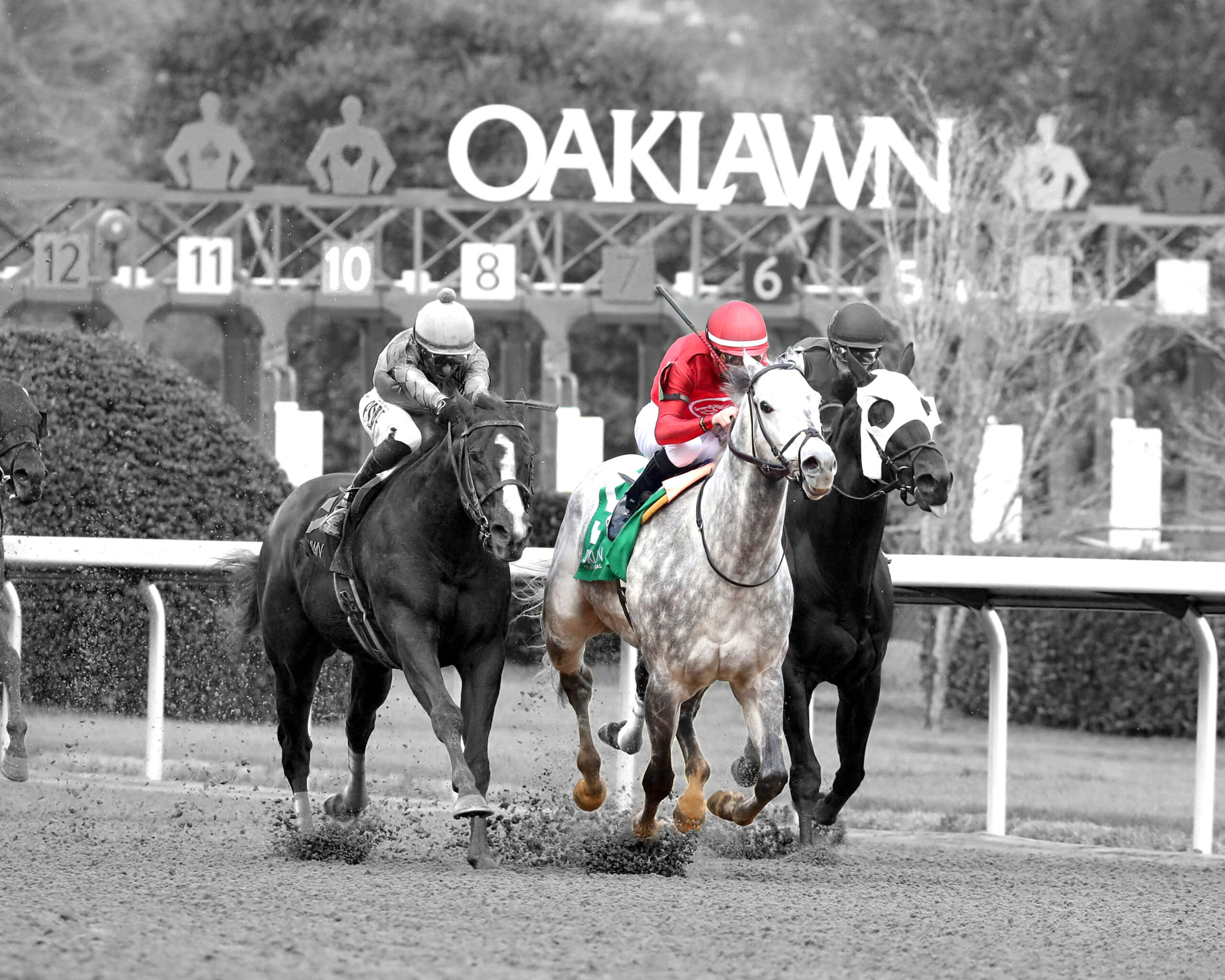 Florida-bred Thoroughbred Roll On Big Joe, ridden by Julien Leparoux, gallops in-between competition as they distance themselves from the starting gate. The sign for Oaklawn’s racetrack is visible in the background of the photo. Roll On Big Joe is the only horse in full color, while the rest of the image (and his competition) have been edited into grayscale. Roll On Big Joe and Leparoux outlasted the competition, winning the 2026 King Cotton Listed. (Photo: ©Cady Coulardot/Coady Media)