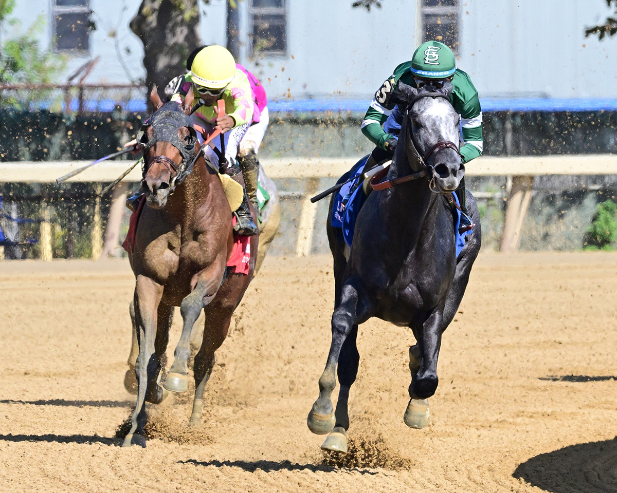 Florida-bred Thoroughbred rockets toward the camera with jockey Manny Franco in the irons, speeding to the wire at Aqueduct Race Track while outside competition Wise Up attempts to catch the duo. Rated by Merit held the lead, scoring the 2025 Discovery Stakes. (Photo: ©Dom Napolitano)