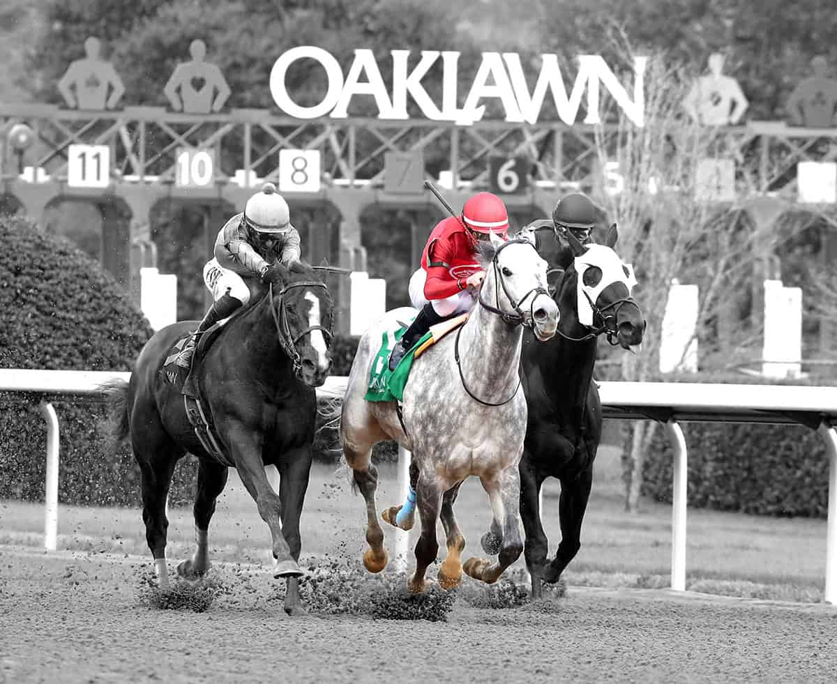 Florida-bred Thoroughbred Roll On Big Joe, ridden by Julien Leparoux, gallops in-between competition as they distance themselves from the starting gate. The sign for Oaklawn’s racetrack is visible in the background of the photo. Roll On Big Joe is the only horse in full color, while the rest of the image (and his competition) have been edited into grayscale. Roll On Big Joe and Leparoux outlasted the competition, winning the 2026 King Cotton Listed. (Photo: ©Cady Coulardot/Coady Media)