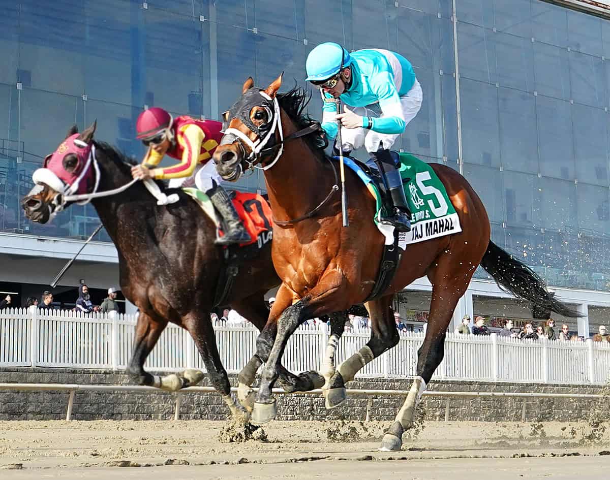 Florida-bred Thoroughbred Taj Mahal gallops through the slop on the inside rail, guided by jockey Sheldon Russell. On the outside, competitor Let’s Go Lando attempts to catch them, but Taj Mahal and Russell held the lead to win the 2026 Miracle Wood at Laurel Park. (Photo: ©Jeff Snyder)