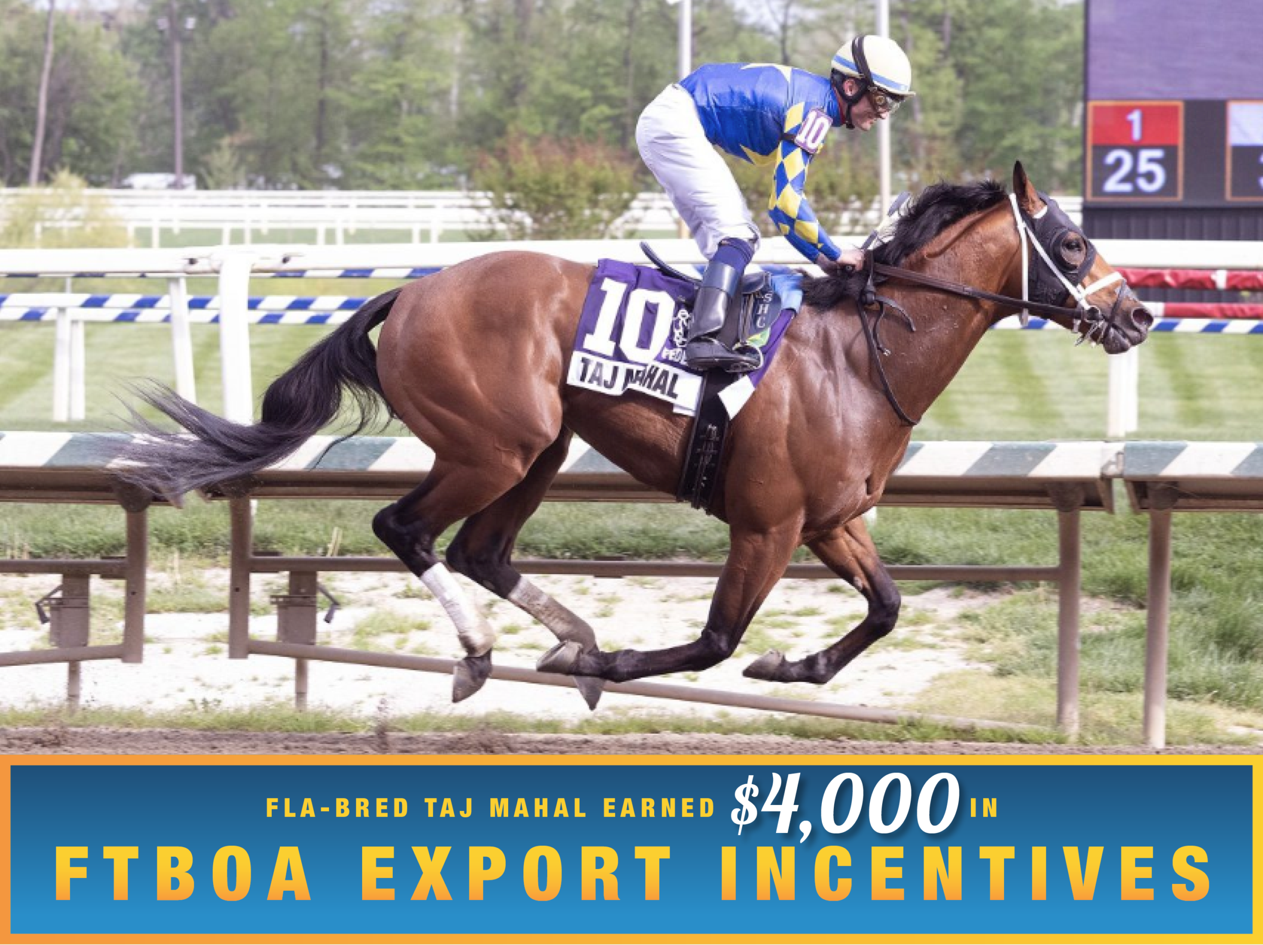 Florida-bred Thoroughbred Taj Mahal gallops to the wire with jockey Sheldon Russell in the saddle, holding the lead to win the 2026 Federico Tesio. (Photo: ©Jim McCue) Beneath the photo, a light blue to dark blue gradient stretches across the width, outlined in an orange to yellow faded frame. The text in the frame reads, “Fla-Bred Taj Mahal Earned $4,000 in FTBOA Export Incentives.” All the text is sans serif, all capitalized in bright orange, except for “$4,000” which is in a white shadowed script.