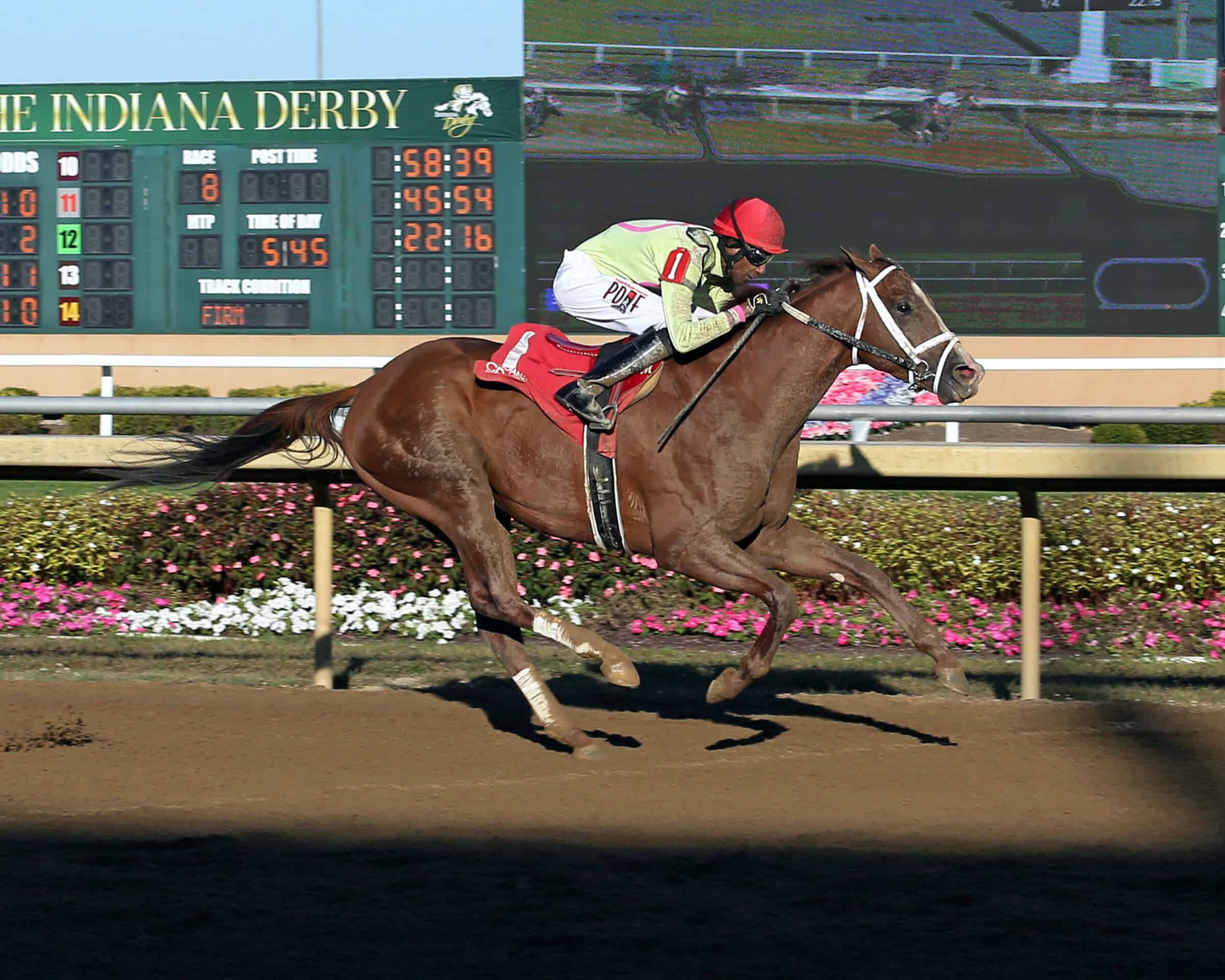 Thoroughbred stallion Well Connected rockets to the wire at Horseshoe Indianapolis, his competition trailing behind him as he crosses the wire unchallenged.
