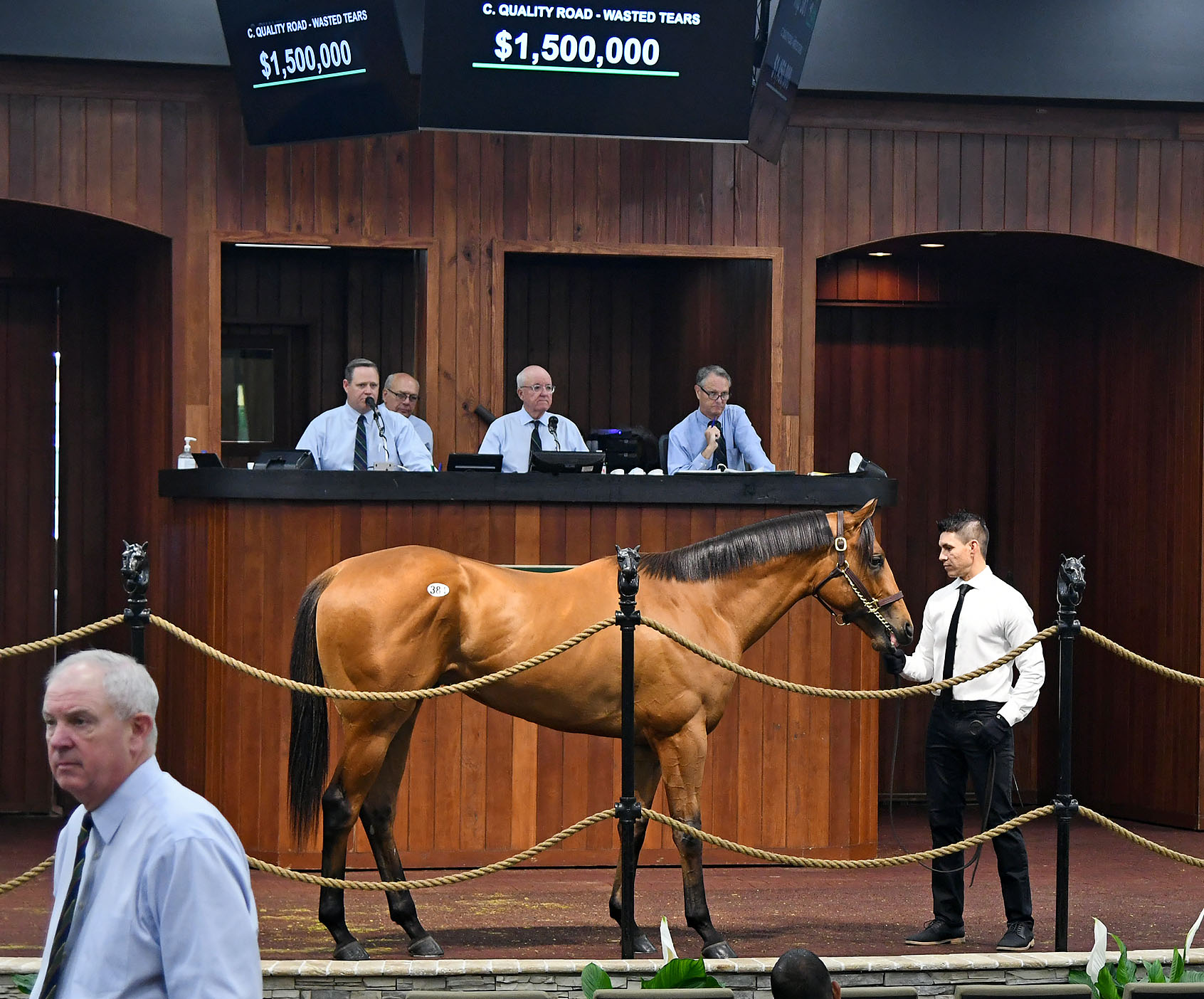 Bay thoroughbred Corniche stands in the middle of the wood-paneled auction ring at OBS Sales during the 2021 OBS Spring Sale, standing under a sign beneath the auction podium that reads, “$1,500,000.” (Photo: ©Judit Seipert)