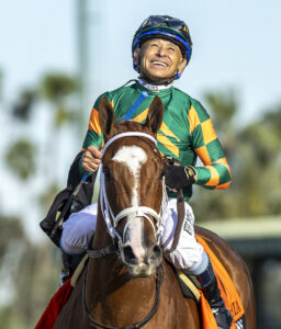 Closely cropped headshot of Florida-bred Spirited Boss heading towards the camera with jockey Mike Smith in the saddle, smiling skywards after they won the 2026 Monrovia at Santa Anita Park. (Photo: ©Benoit)