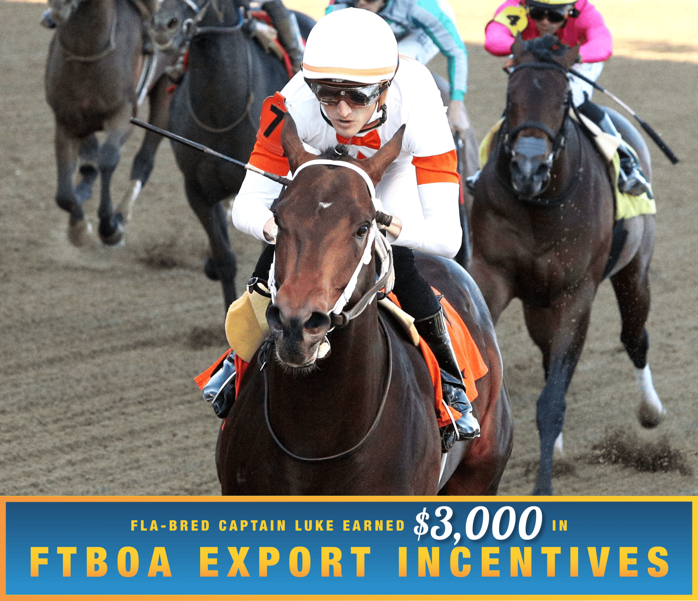 Closely cropped photo of Florida-bred Captain Luke and jockey Keith Asmussen galloping to the wire at Churchill Downs to win a $100,560 maiden special weight. (Photo: ©Coady Media) Beneath the photo, a gradient light blue to dark blue banner, edged in an orange to yellow frame, is featured. The banner reads, “Fla-bred Captain Luke Earned $3,000 in FTBOA Export Incentives.”