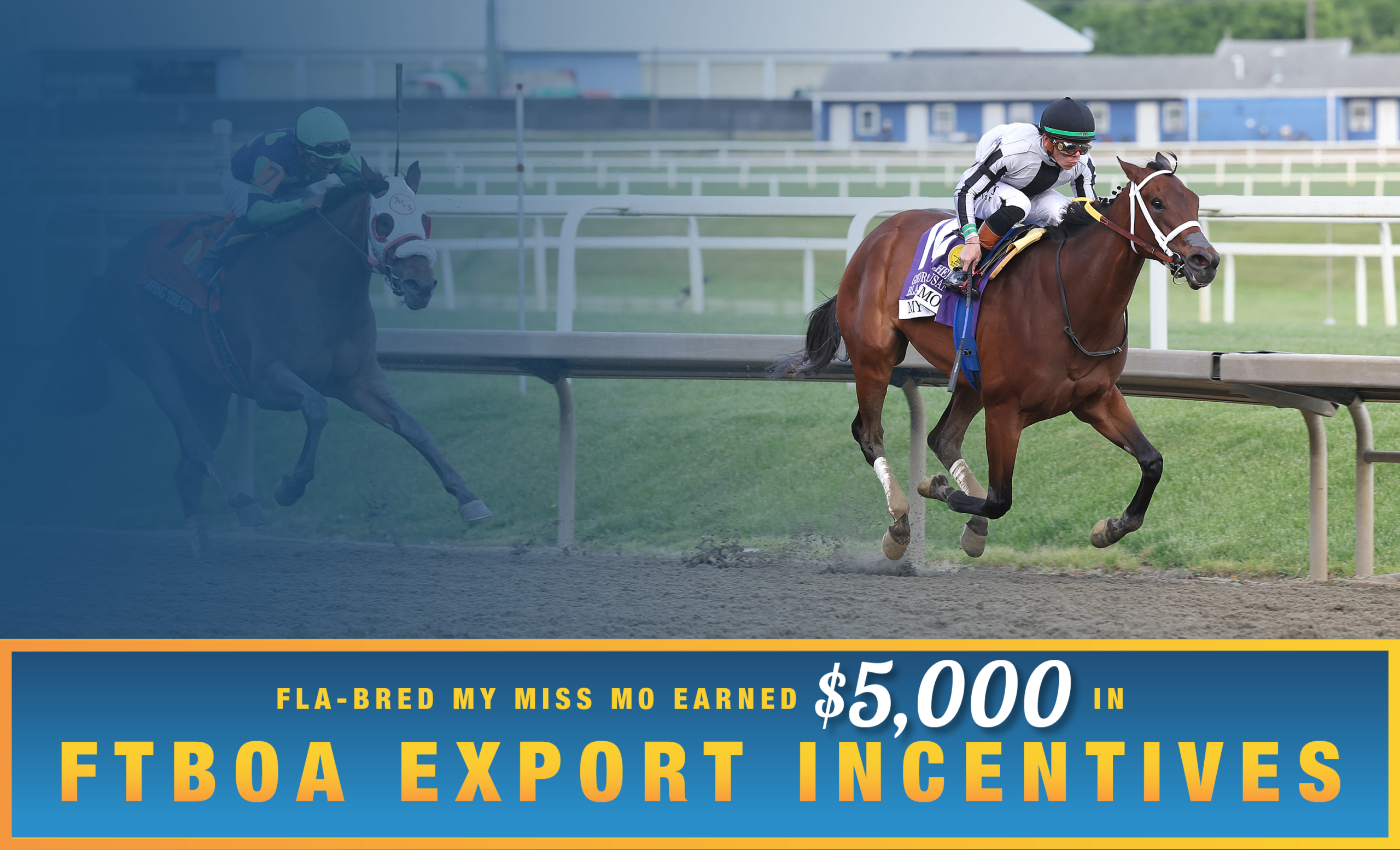 Florida-bred Thoroughbred My Miss Mo, with jockey Tyler Gaffalione, gallops to the wire, outrunning competitor Jumping the Gun and the rest of the field (not pictured) to win the 2026 Black-Eyed Susan at Laurel Park. (Photo: ©Bill Denver/EQUI-PHOTO) The photo of My Miss Mo and Gaffalione is faded, so that they are fully visible, while the photo fades out into dark blue to the left, slightly obscuring Jumping the Gun. Beneath the photo, a gradient light blue to dark blue banner, edged in an orange to yellow frame, is featured. The banner reads, “Fla-bred My Miss Mo Earned $5,000 in FTBOA Export Incentives.”