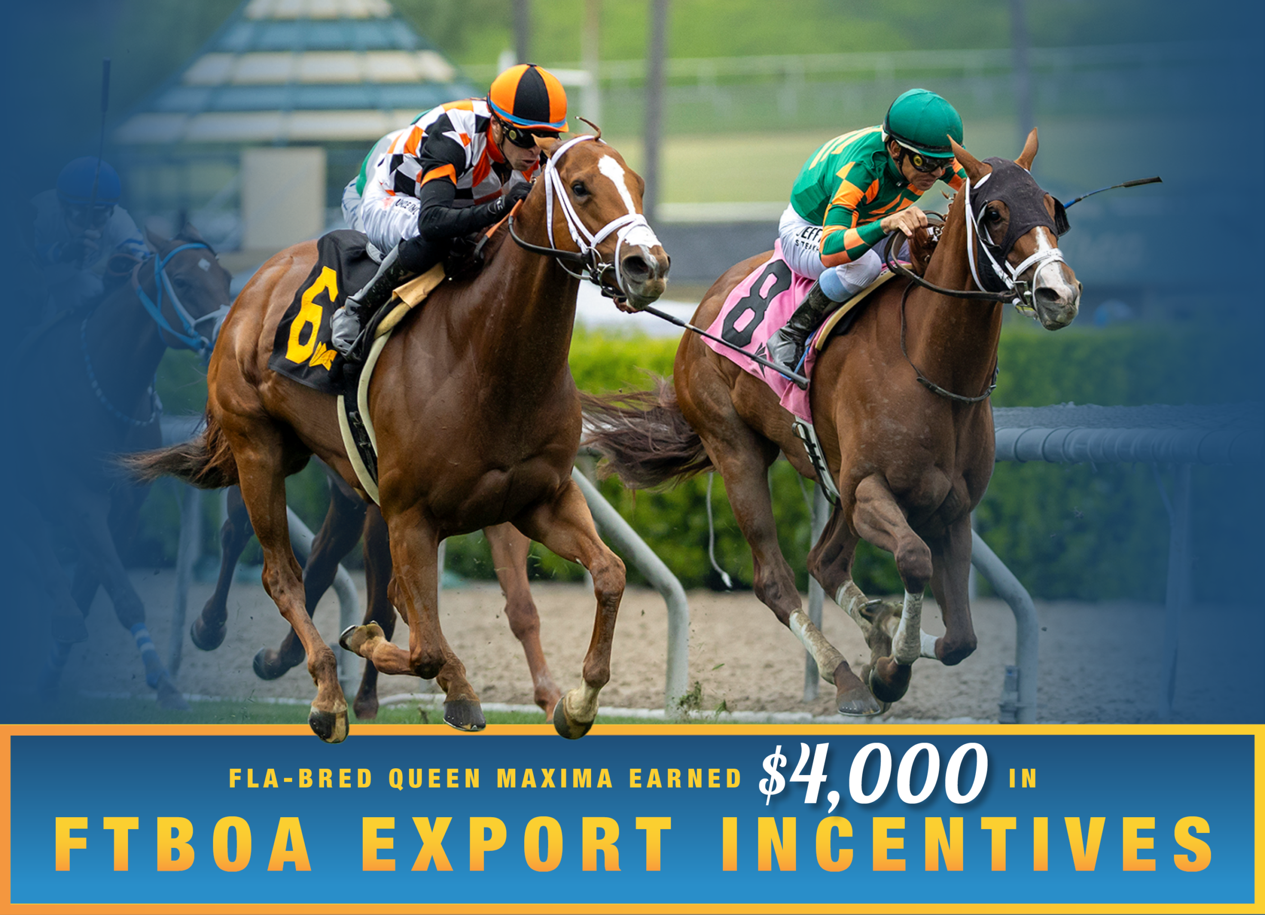 On the outside, Florida-bred Thoroughbred Queen Maxima and jockey Juan Hernandez overtake fellow Florida-bred Spirited Boss, guided by jockey Mike Smith, to win the 2026 Mizdirection Stakes at Santa Anita. (Photo: ©Benoit) The photo of the two horses and jockeys is overlaid by a blue gradient, shadowing the competition that follows the mares on the left side of the photo, and the right edge of the image. Queen Maxima and Hernandez are in full color, while Spirited Boss and Smith are slightly obscurred by the blue gradient. Beneath the photo, a gradient light blue to dark blue banner, edged in an orange to yellow frame, is featured. The banner reads, “Fla-bred Queen Maxima Earned $4,000 in FTBOA Export Incentives.” Queen Maxima’s hooves slightly overlap the banner.