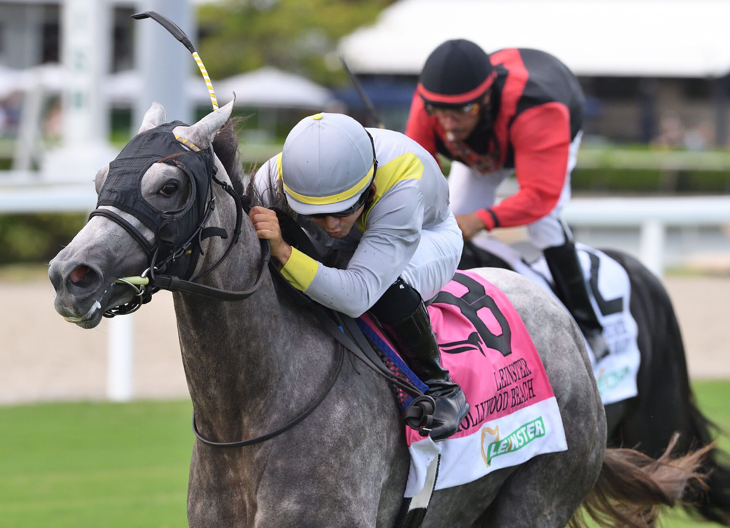 Closely cropped photo of Florida-bred Thoroughbred Lennilu and jockey Jonathan Ocasio rocket to the wire to win the 2025 Leinster Hollywood Beach Stakes at Gulfstream Park. (Photo: ©Ryan Thompson)