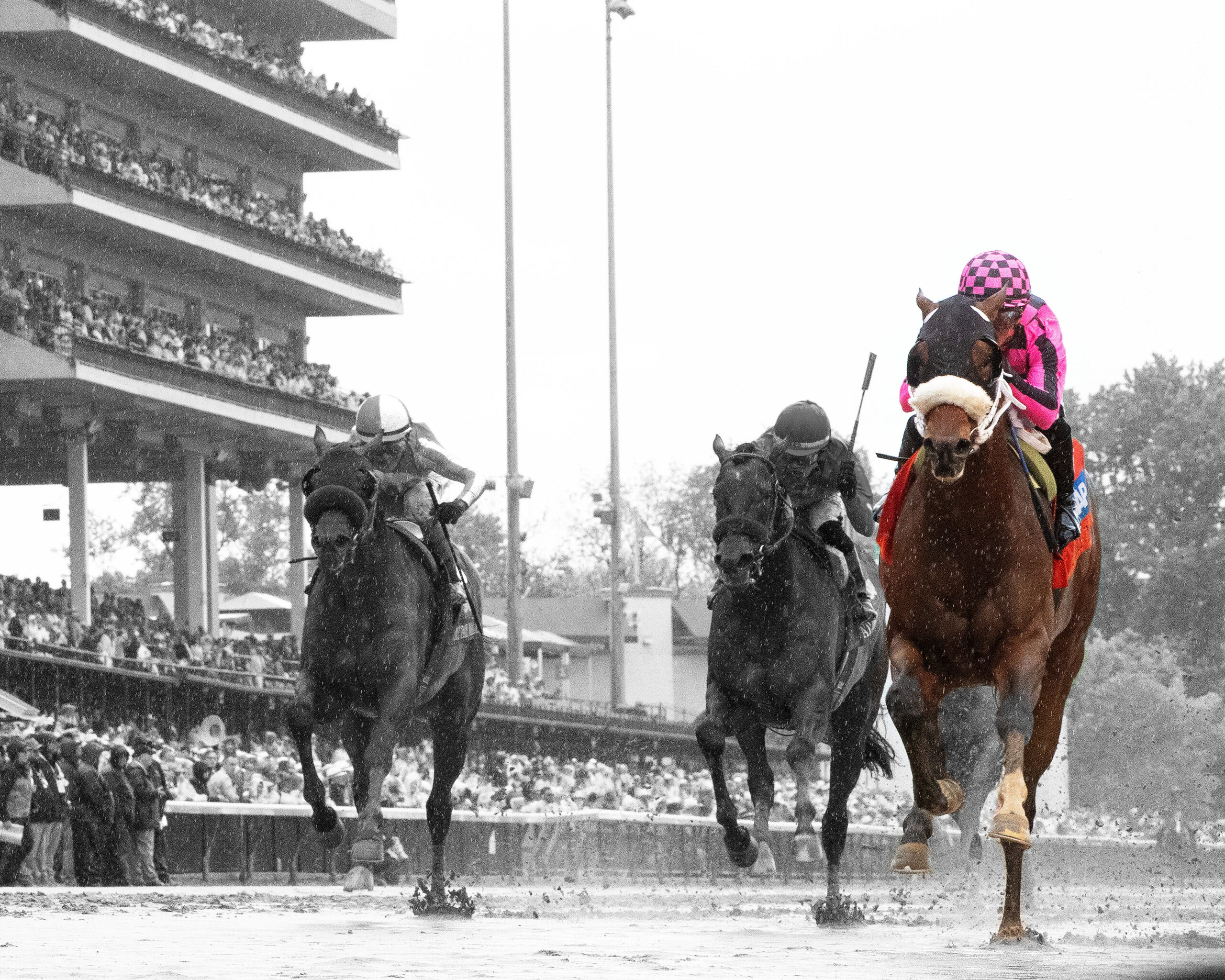 Florida-bred Thoroughbred Macho Music and jockey Javier Castellano rocket to the wire on the inside rail over a sloppy and sealed track. The duo outlasted against competitors Gaming (far outside) and Madaket Road (middle), winning the 2025 Pat Day Mile (Grade 1) at Churchill Downs. Macho Music and Castellano are in full color, while the rest of the image is faded out into grayscale. (Photo: ©John Gallagher / Coady Media)