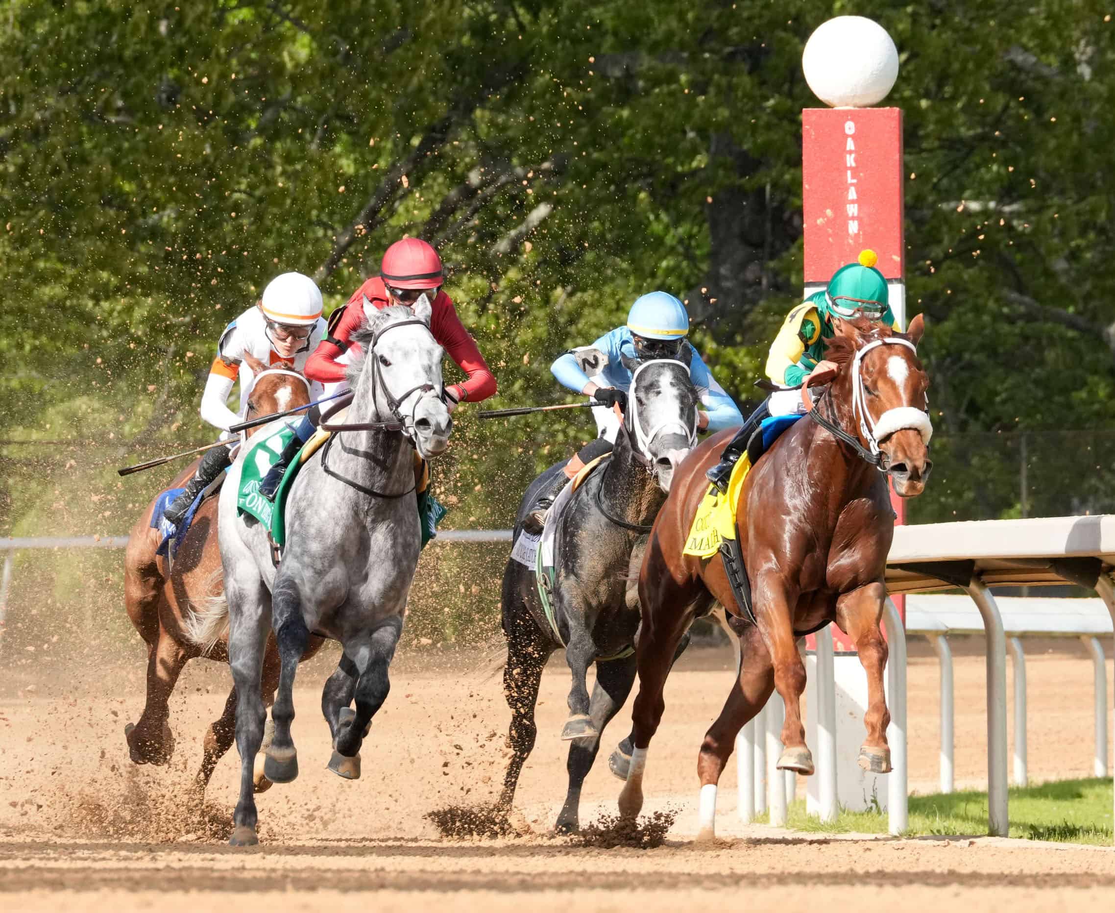 Chestnut Florida-bred Thoroughbred Mad House springs forward in a gallop with jockey Paco Lopez in the irons, leading the pack around a turn at Oaklawn Park. Directly to their outside, fellow grey Florida-bred Roll On Big Joe gallops alongside Mad House with jockey Julien Leparoux guiding him. Mad House won the speed duel, winning the 2026 Count Fleet Sprint Handicap. (Photo: ©Shelby Layne Ridgway/Coady Media)