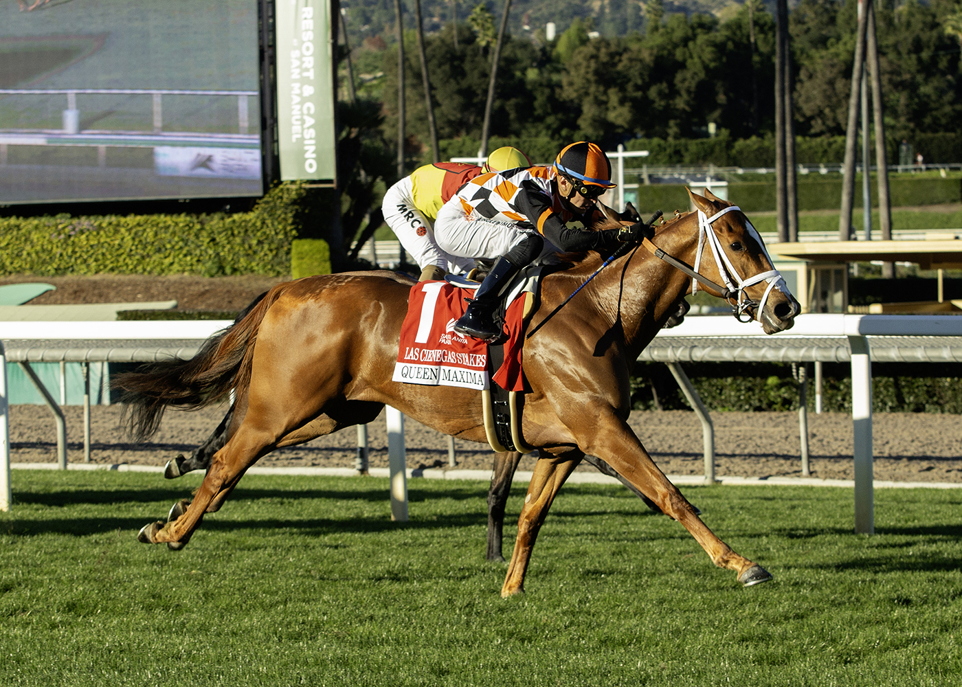 Florida-bred Queen Maxima and jockey Juan Hernandez overtake competitor Princesa Moche from the outside to wire the 2026 Las Cienegas Stakes (Grade 3) at Santa Anita. (Photo: ©Benoit)