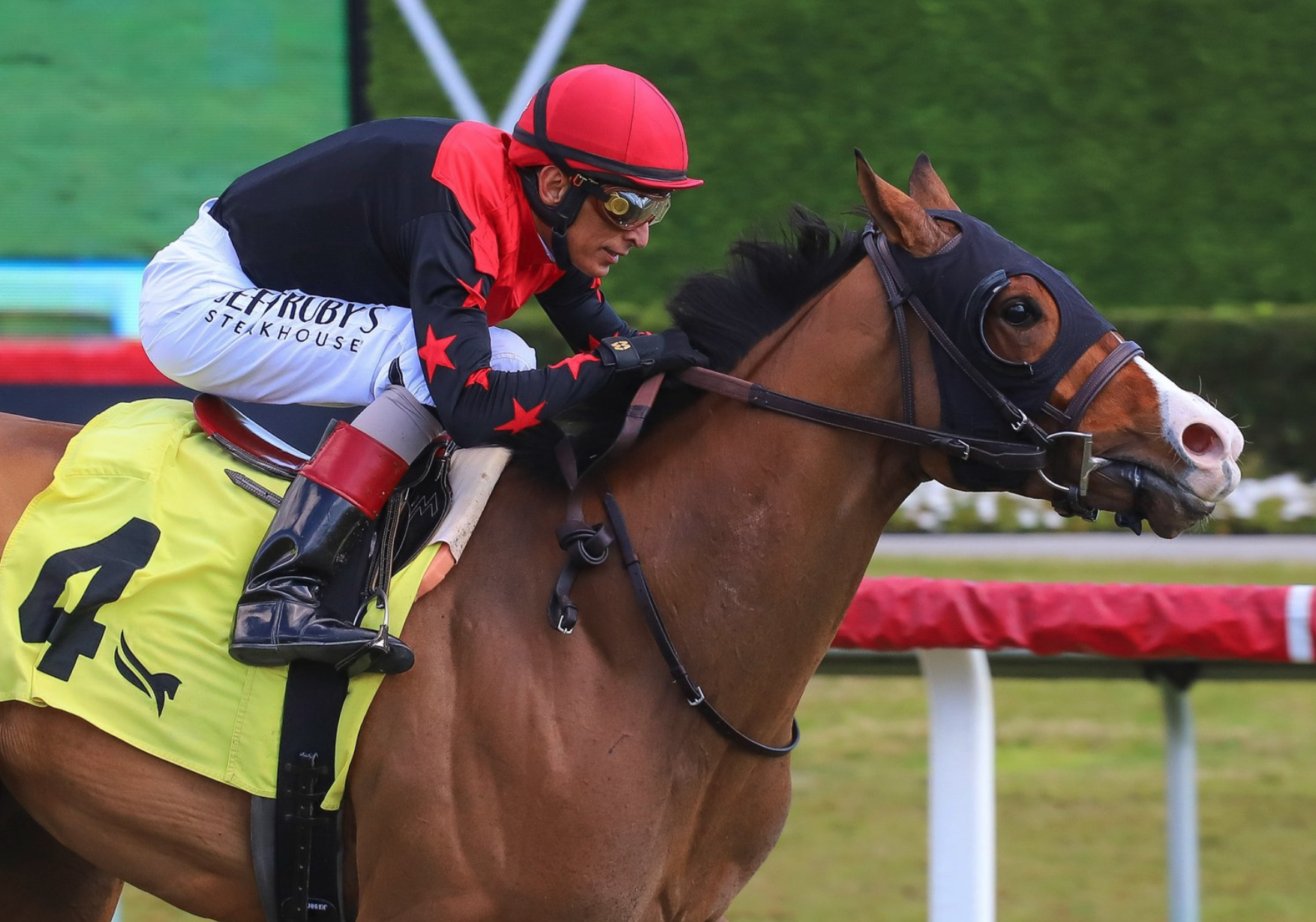 Closely cropped photo of Florida-bred Thoroughbred Rebel With a Cause and jockey John Velazquez galloping to the wire at Gulfstream Park to win a Maiden Optional Claiming on February 13, 2026. (Photo: ©Coglianese)
