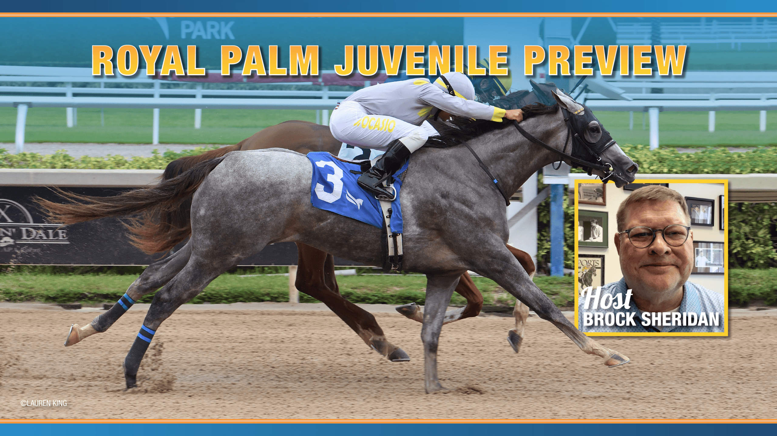 Video thumbnail featuring Florida-bred Thoroughbred Lennilu and jockey Jonathan Ocasio stretch out to hit the wire first as fellow Florida-bred Finding Strength gallops with them on the inside rail. Lennilu and Ocasio won the 2025 Florida Sire Stakes Desert Vixen at Gulfstream Park by a head bob. (Photo: ©Lauren King) The photo is edited the a dark blue to light blue frame running at the top and bottom of it, and the photo (outside of Lennilu and Ocasio) fades out into a dark blue. The title “Royal Palm Juvenile Preview” is in bold yellow to orange lettering above their heads, and a photo of the video host, Brock Sheridan, is framed in a square to the bottom right of the collective image.