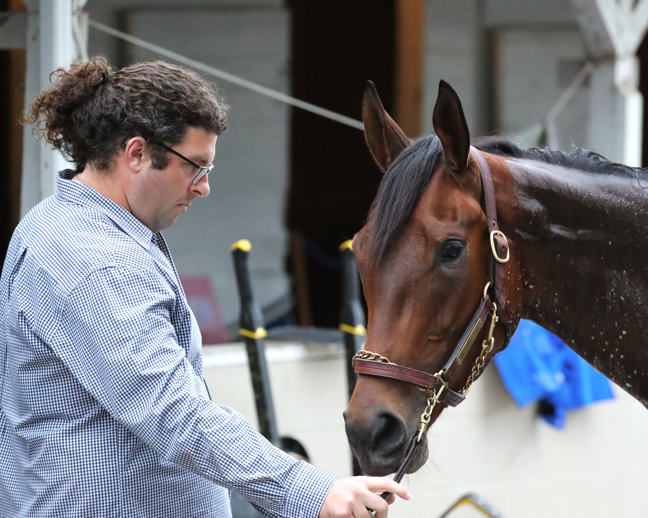 Trainer Saffie Joseph Jr. stands with Florida-bred My Miss Mo during a quiet trackside moment. My Miss Mo’s ears are pricked as she waits patiently while getting a bath. (Photo: ©Cady Coulardot/Coady Media)
