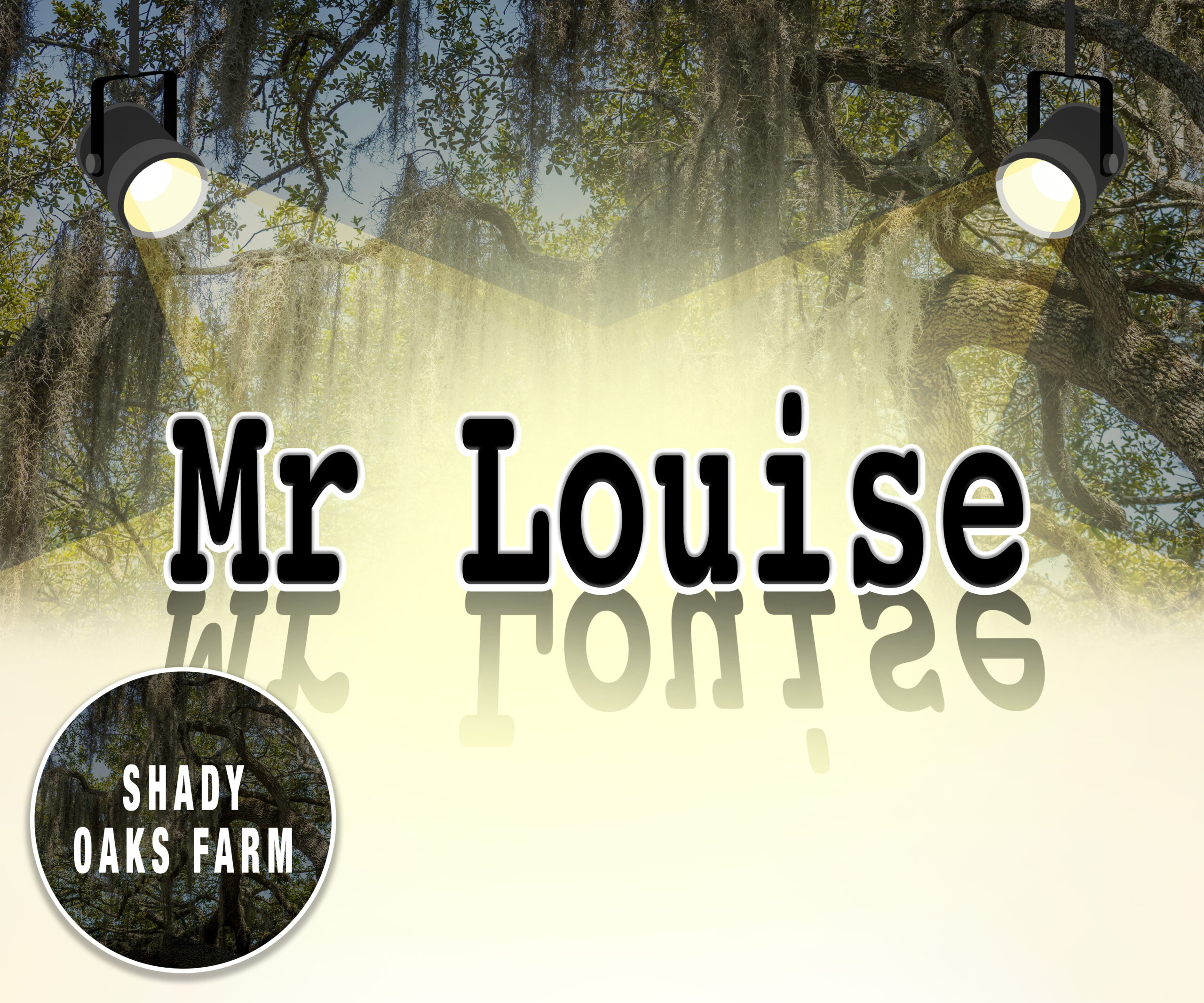 Graphic for the stallion Mr Louise, featuring his name in a typewriter-like font in all black, outlined in white. A shadow of the name stretches out in front of it, and the name is highlighted by yellow, illustrated spotlights backed by a faded image of a Florida oak tree.  The name of the stallion’s resident farm, Shady Oaks Farm, is featured in a circle outlined by white in the bottom lefthand corner, again backed by the image of Florida oak tree, but much darker than the main image background. Credits for the spotlight imagery go to Tyler Riabets, and credit for the Florida oak tree imagery goes to Dawn McDonald on Unsplash.