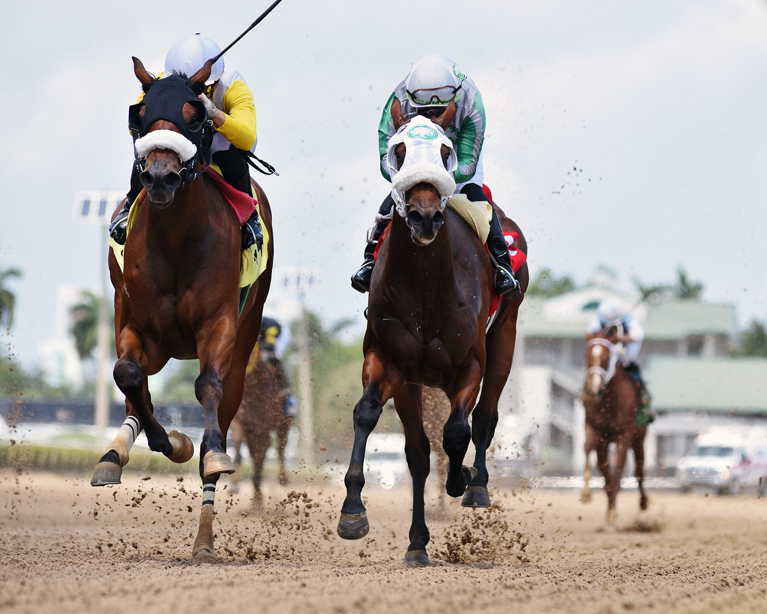 Florida-bred Thoroughbred Strike, galloping on the inside rail with jockey Samy Camacho in the saddle, chases fellow Florida-bred Ford Roadster, guided by jockey Yolber Torres, during their first race. Ford Roadster grabbed the win with Strike claiming second during the Maiden Special Weight on April 19, 2026. (Photo: ©Ryan Thompson)