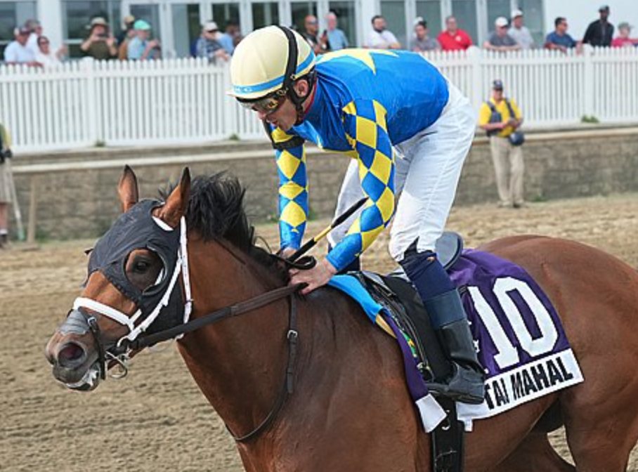 Closely cropped photo of Florida-bred Taj Mahal and jockey Sheldon Russell racing to the wire to win the 2026 Federico Tesio at Laurel Park. (Photo: ©Jeffrey Snyder/Maryland Jockey Club)